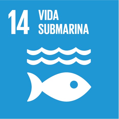 ODS 14: Vida submarina